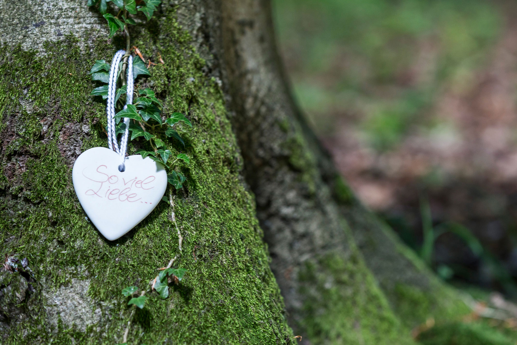 Auf einem Baum ist eine Plakette in Herzform angebracht. Auf der Plakette steht ein Trauerspruch.